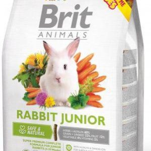 BRIT animals  RABBIT  junior - 1