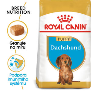 Royal Canin Dachshund Puppy - granule pro štěně jezevčíka - 1