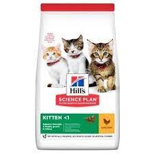 Hills cat KITTEN/chicken - 1