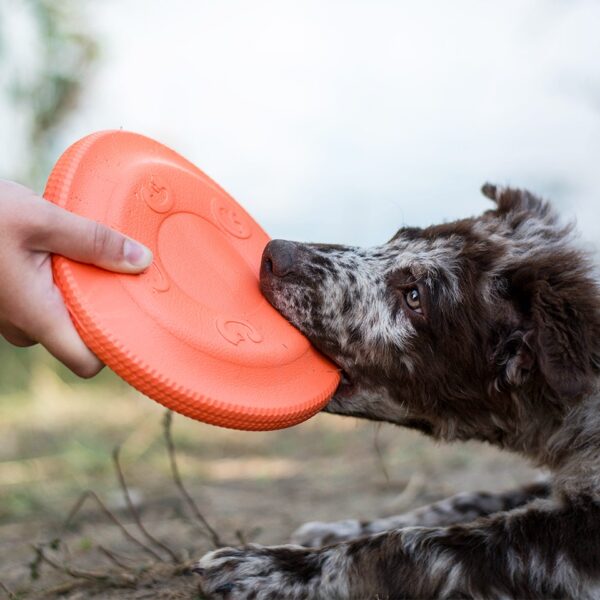 Akinu AQUA pěnové frisbee malé 17 cm Barva: Červená