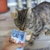 Akinu CATY Hovězí kousky v omáčce konzerva pro kočky 415 g