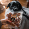 Akinu MASÍČKA Kuřecí chipsy pamlsek pro psy 300 g