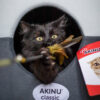 Akinu Udice s pírky hračka pro kočky