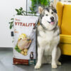 Akinu VITALITY Kuřecí granule krmivo pro psy velkých plemen 12 kg
