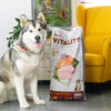 Akinu VITALITY Kuřecí & rybí granule krmivo pro seniorní psy středně velkých / v
