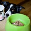 Akinu melaminová miska pro psy 800 ml Barva: Zelená