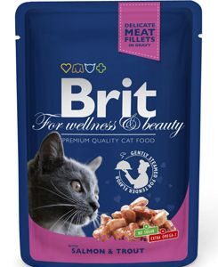 Brit Premium Cat kapsa with Salmon & Trout 100g