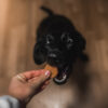 Akinu BITES & FUN Kuřecí chipsy pamlsek pro psy 85 g