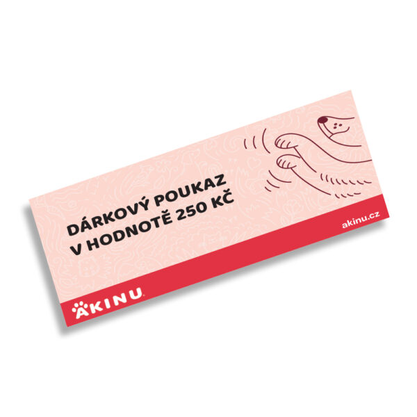 Akinu dárkový poukaz v hodnotě 250 Kč