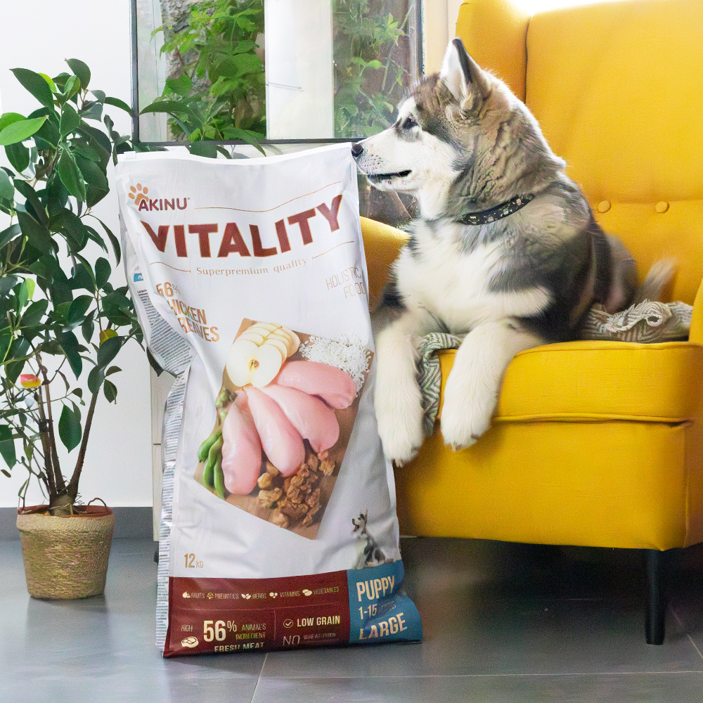 Akinu VITALITY Kuřecí & škvarkové granule pro štěňata velkých plemen 12 kg