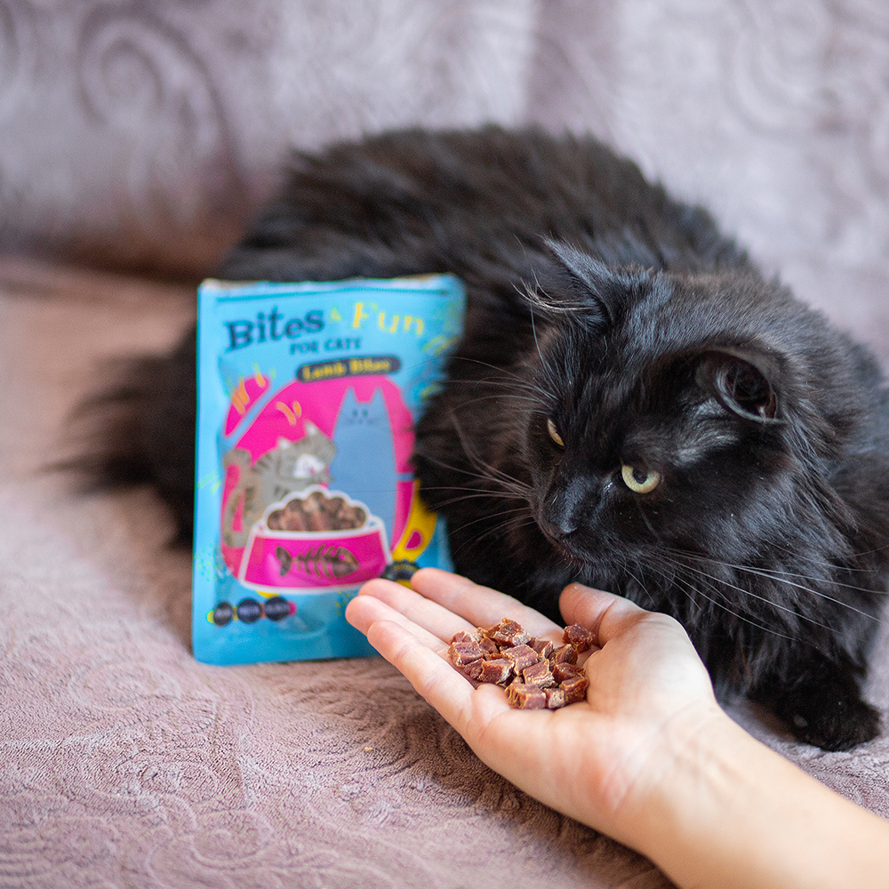 Akinu BITES & FUN Jehněčí kousky pamlsek pro kočky 60 g