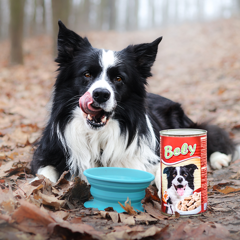 Akinu BELY Drůbeží kousky v omáčce konzerva pro psy 1250 g