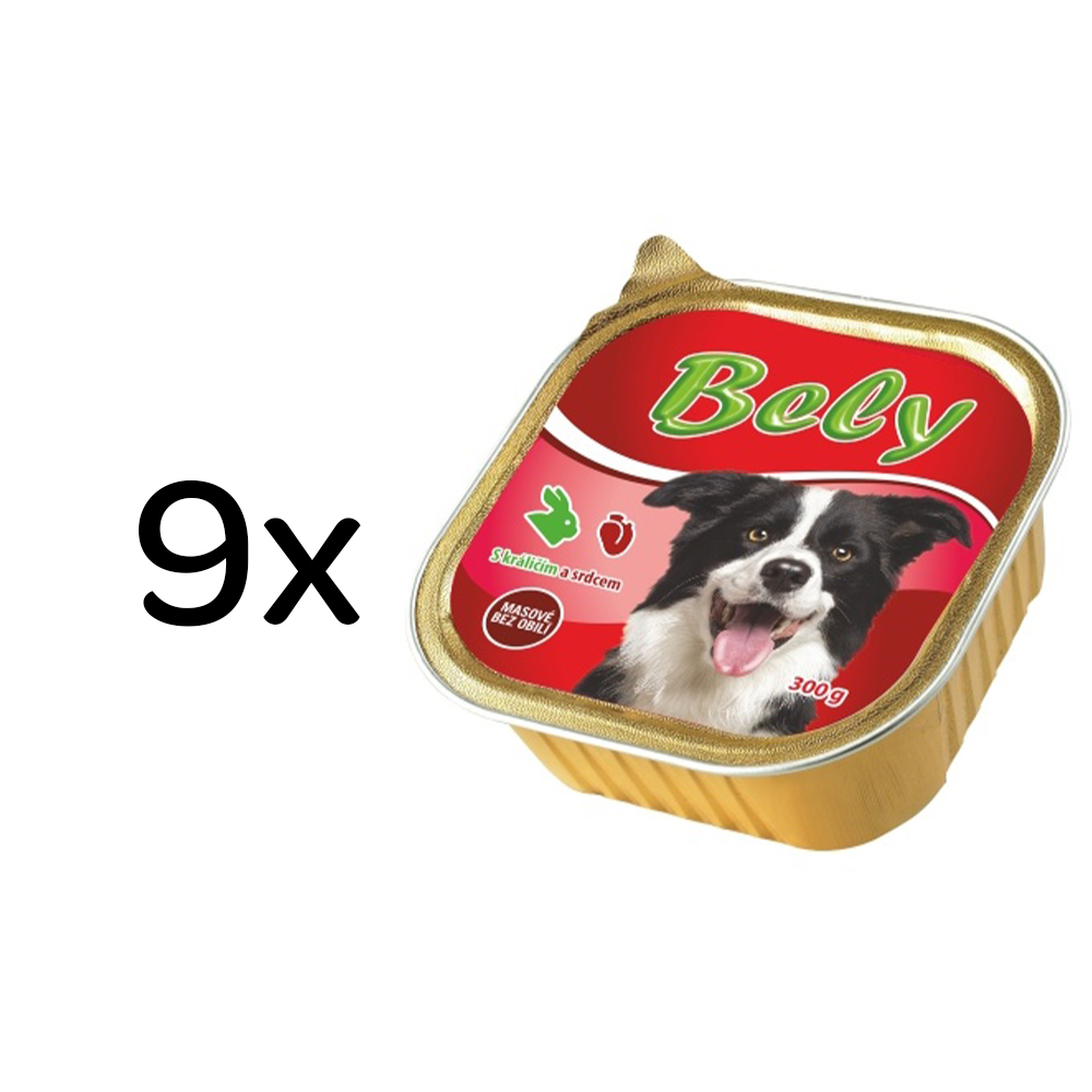 Akinu BELY Králičí & srdce paštika pro psy 9 x 300 g