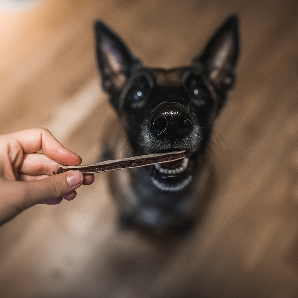 Akinu BITES & FUN Jehněčí sendvič pamlsek pro psy 85 g