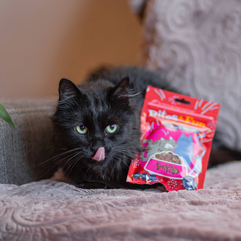Akinu BITES & FUN Kachní stripsy pamlsek pro kočky 60 g