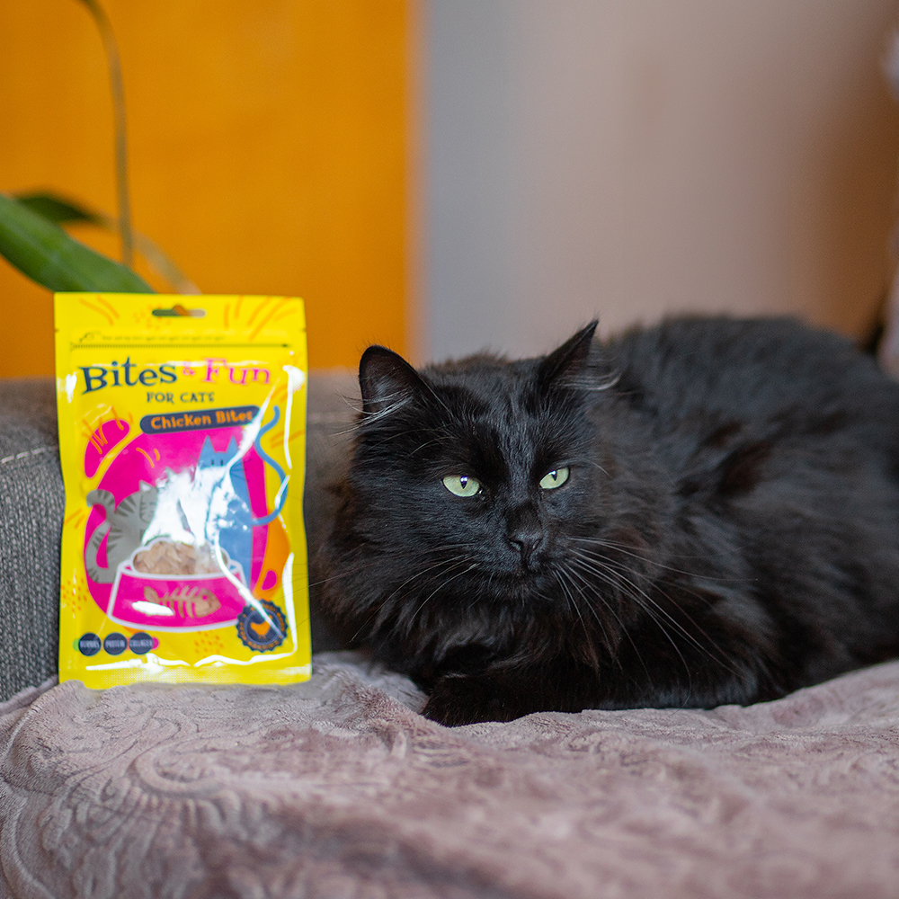 Akinu BITES & FUN Kuřecí kousky pamlsek pro kočky 60 g