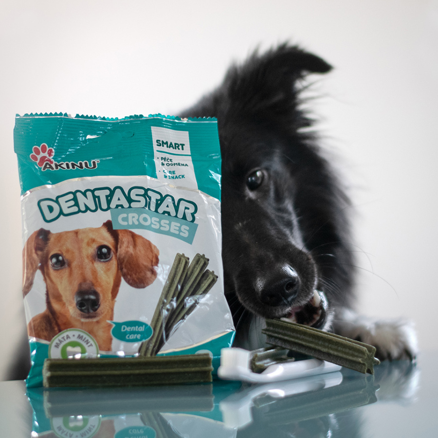 Akinu DENTASTAR Mini pamlsek pro malé a střední psy dentální 110 g 7 ks