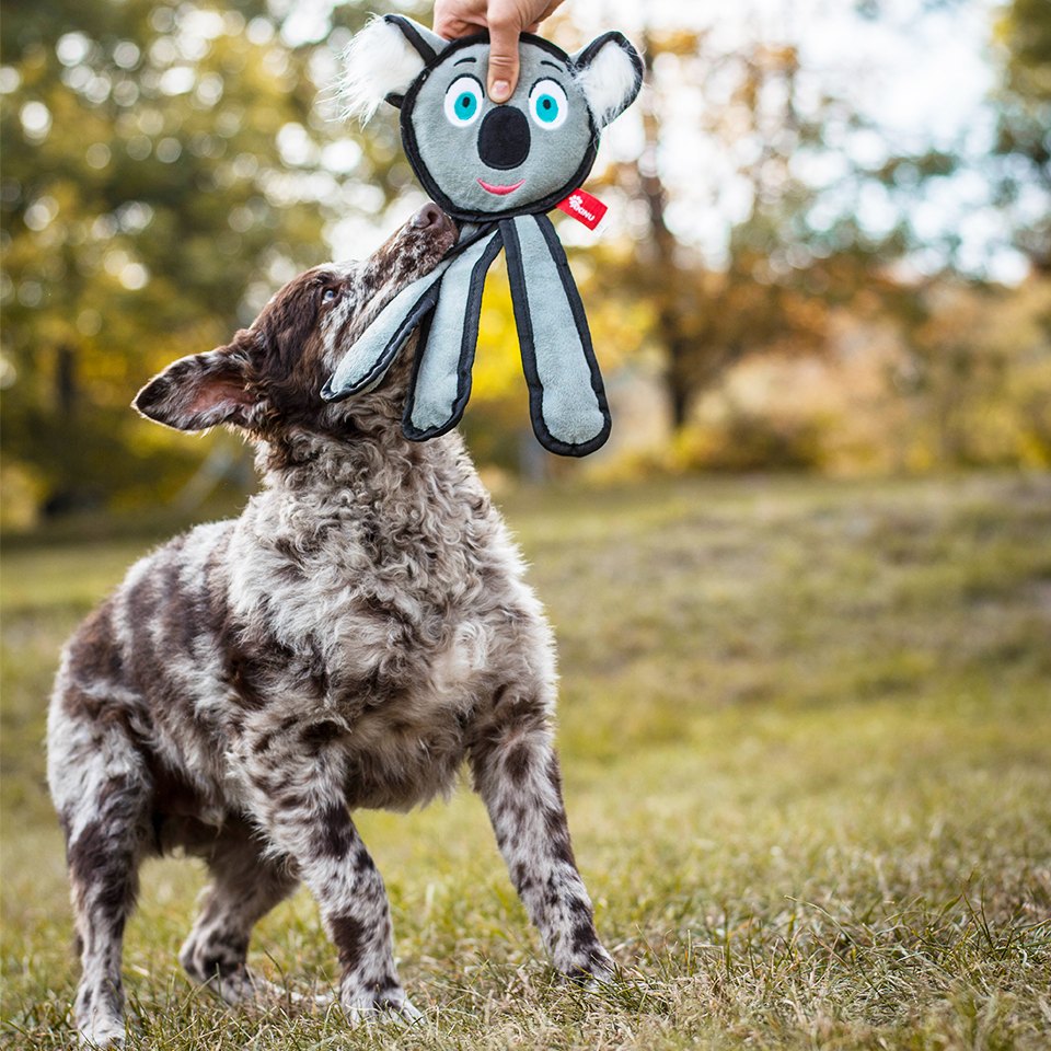 Akinu Koala přetahovadlo hračka pro psy