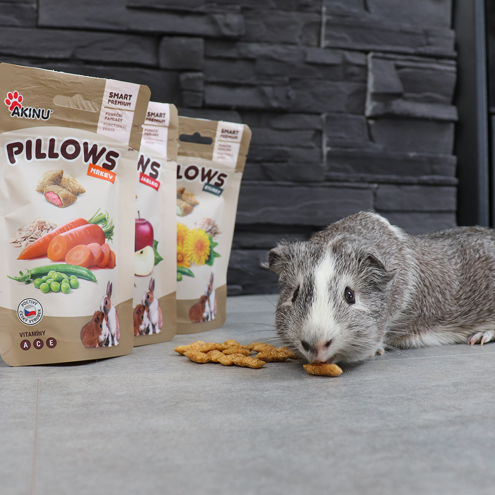 Akinu PILLOWS Polštářky s mrkví pamlsek pro hlodavce 40 g