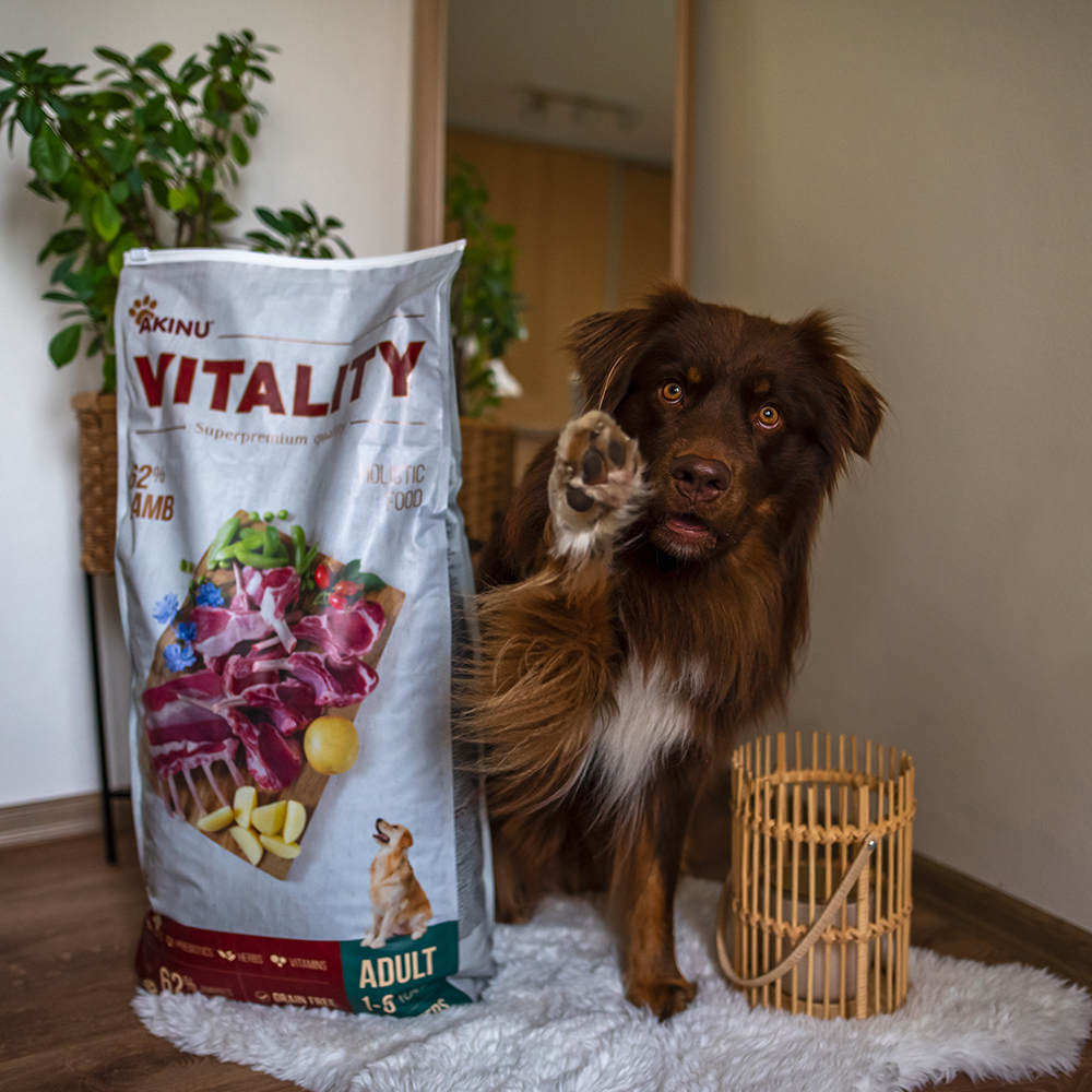 Akinu VITALITY Jehněčí granule pro psy hypoalergenní 12 kg