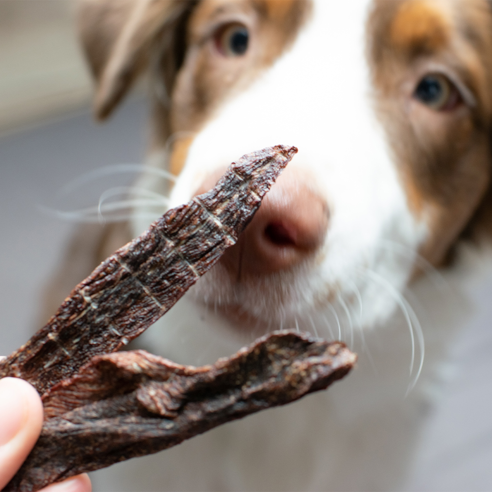 Akinu VITALITY Jerky MIX pamlsků pro psy 5 x 50 g