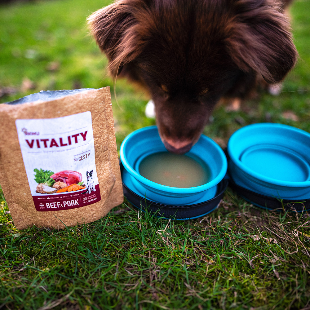 Exclusive Akinu VITALITY sada pro dospělé psy