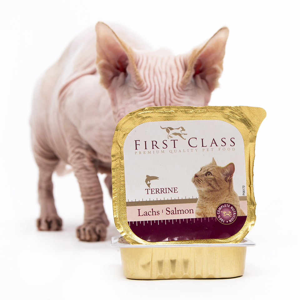FIRST CLASS Losos paštika pro kočky 100 g