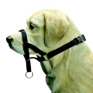 Beeztees ohlávka pro psy s obvodem čumáku do 20cm